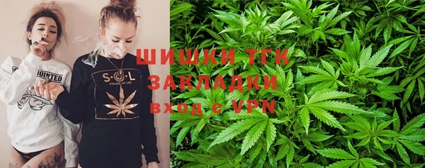 шишки Баксан